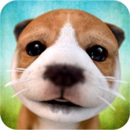 Download Dog Simulator (MOD, unlimited money) free on android Featured Update