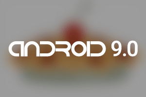 Possible name of the operating system Android 9.0