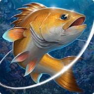 Download Fishing Hook (MOD, Unlimited Money) free on android New Mod