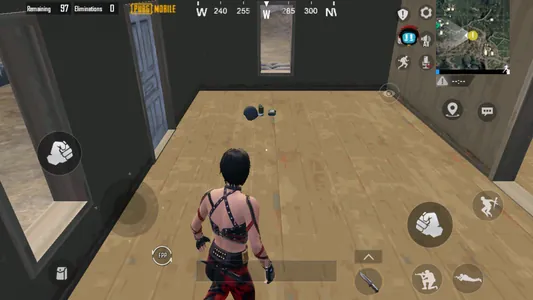 PUBG MOBILE FLASH